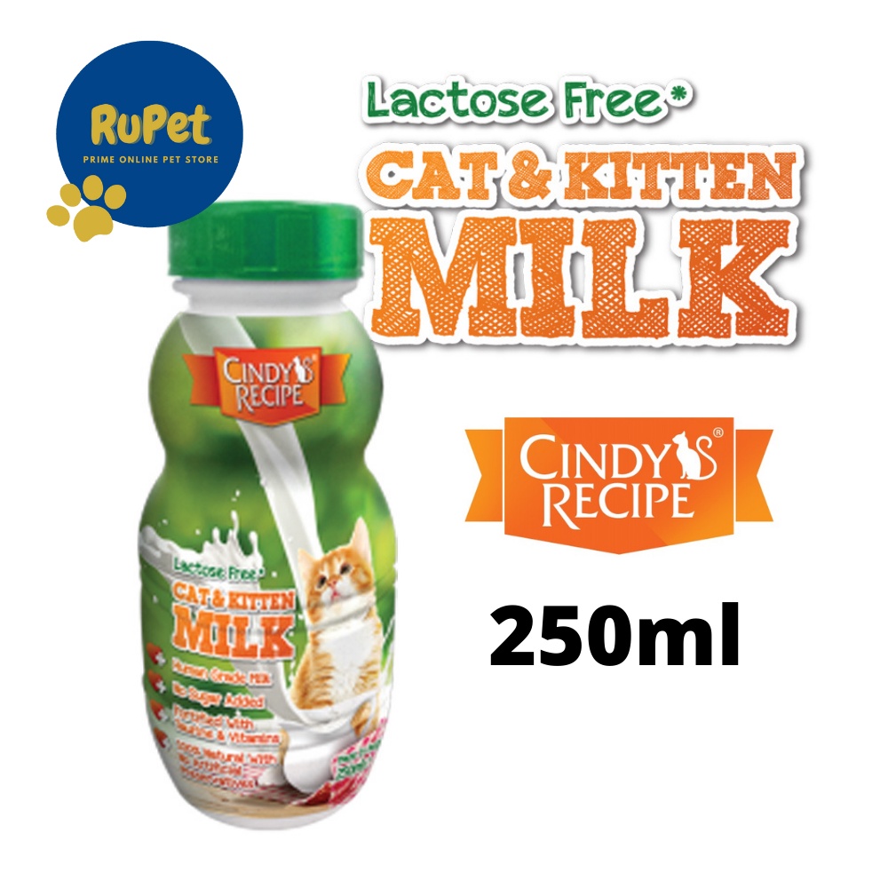 (EXP 02/2023) 250ml CINDY Recipe Cat & Kitten Milk / Susu CAT WET