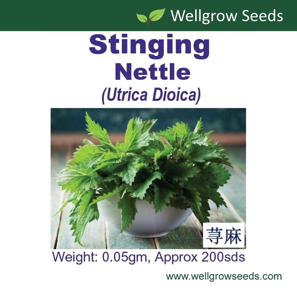 Stinging Nettle Organic (0.05gm approx 200sds) 荨麻 Jelatang Vegetable Seeds Wellgrow Seeds