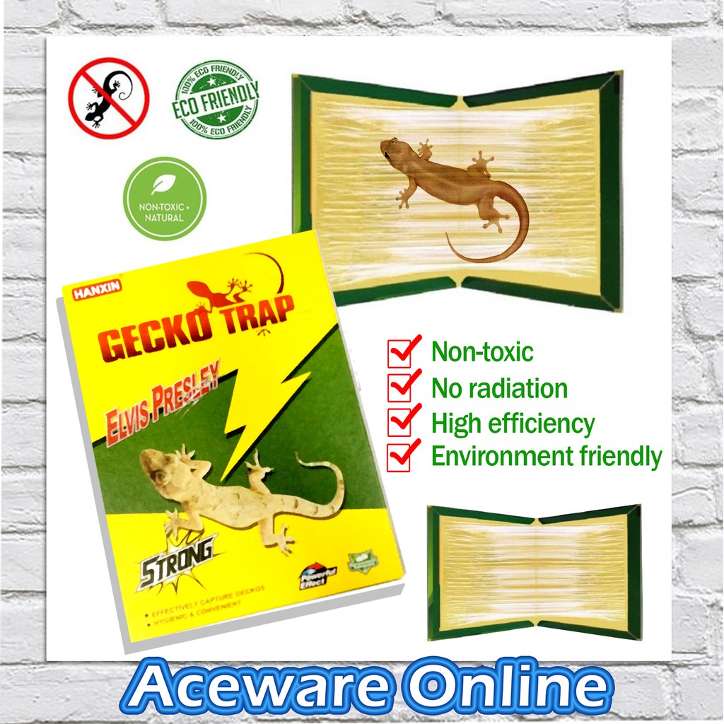 How To Get Lizard Off Sticky Trap Lizard Gecko Strong Adhesive Sticky Glue Trap Boards for Pest Control