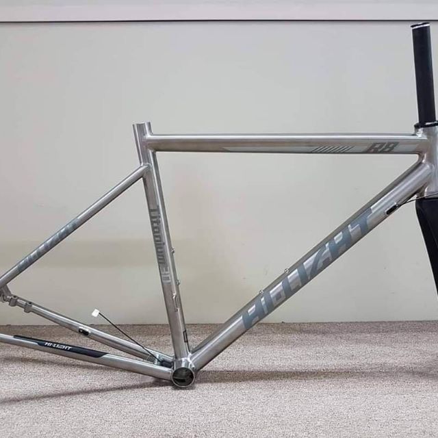 hi light titanium frame