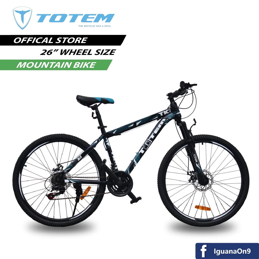 totem 21 speed mountain bike