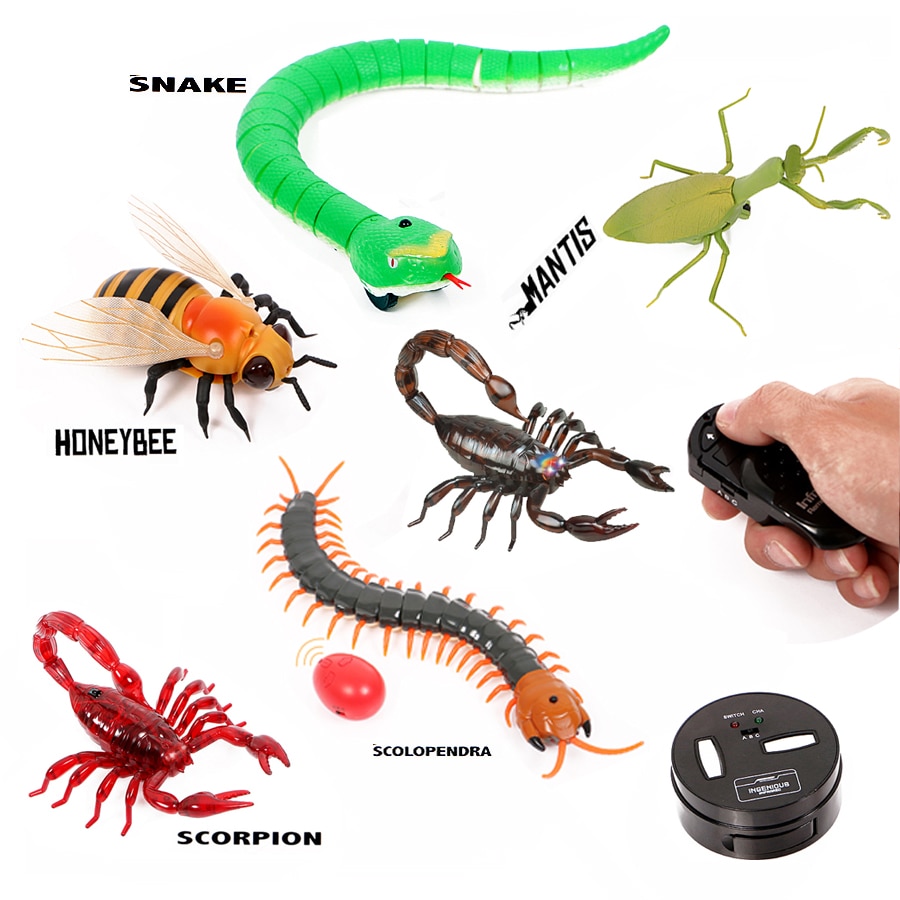 Remote Control Animal Insect Toys Simulation snake bee,Electronic robot toy  for cat dog, Halloween Prank Funny Toys | Shopee Malaysia