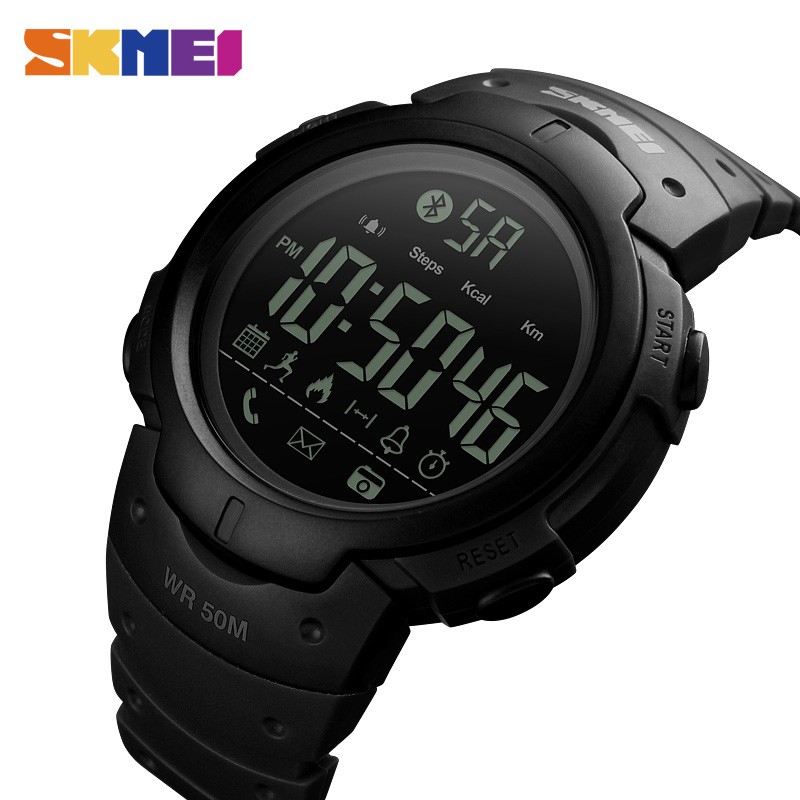 skmei 1231 compass