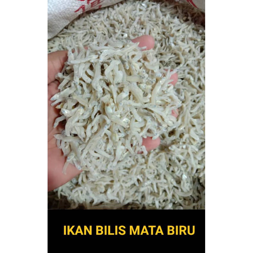 IKAN BILIS MATA BIRU (GRADE AA)