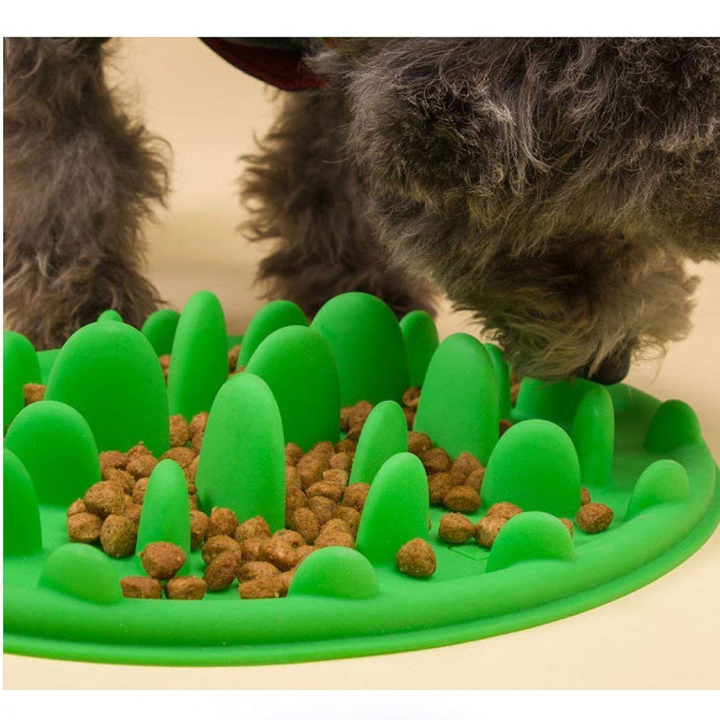 Cat Interactive Slow Feeder Bowl Slow Feed Anti Gulping Bloat Stop