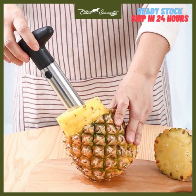 Stainless Steel Pineapple Corer and Slicer Apple tool Cutter Alat Dapur Nanas Easy Core