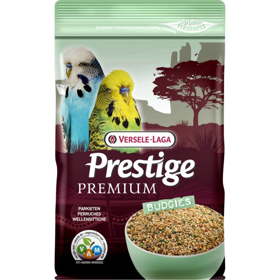 budgie food