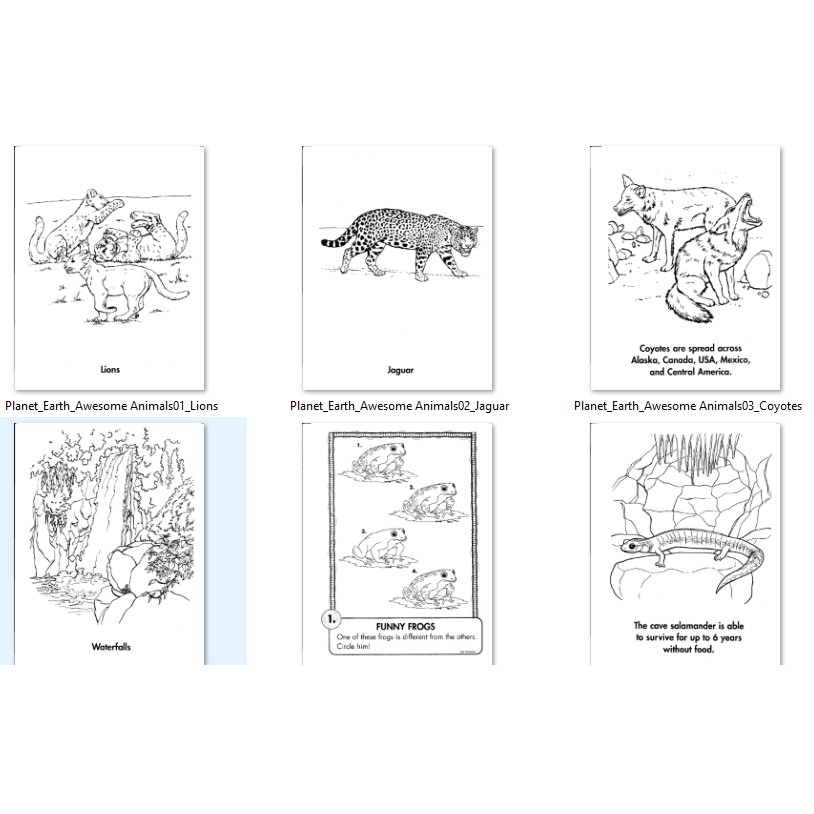 Coloring Book Wildlife Wonders and Awesome Animals - printable version