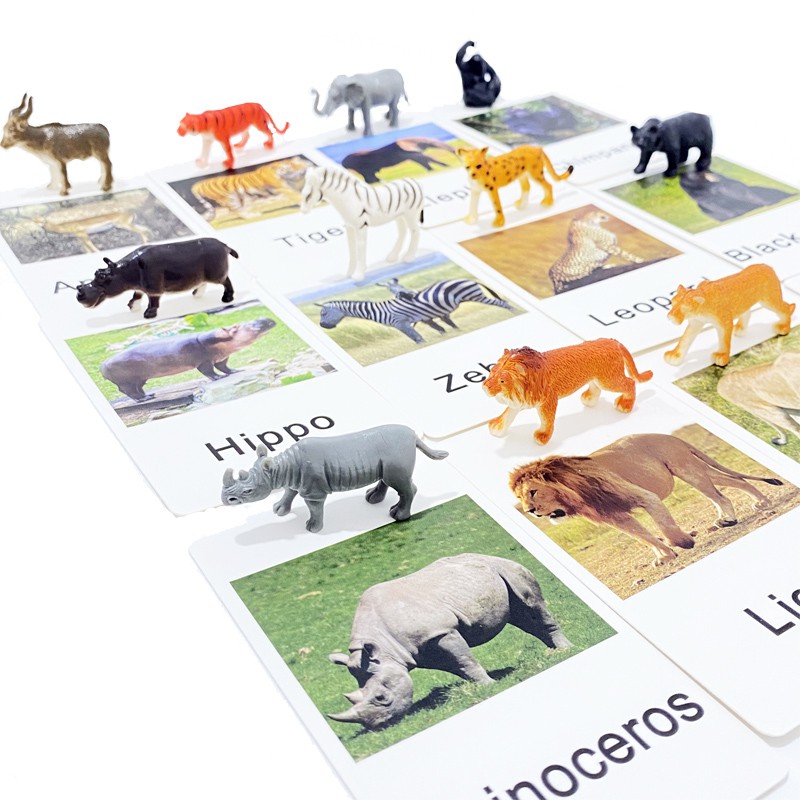 Reliable Purpose Montessori Animal Match Cards Miniature Poultry Animals Matching Learning Toy Language Materials Mul... - Image 5