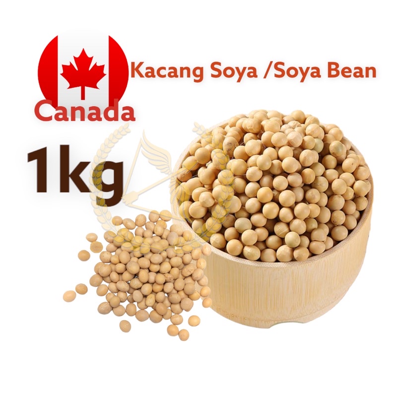 Kacang Soya Soya Bean 1kg Premium Quality Canada Shopee Malaysia