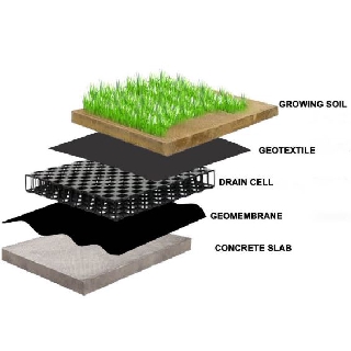 Drain Cell For Drainage (50x50x3cm) | Shopee Malaysia