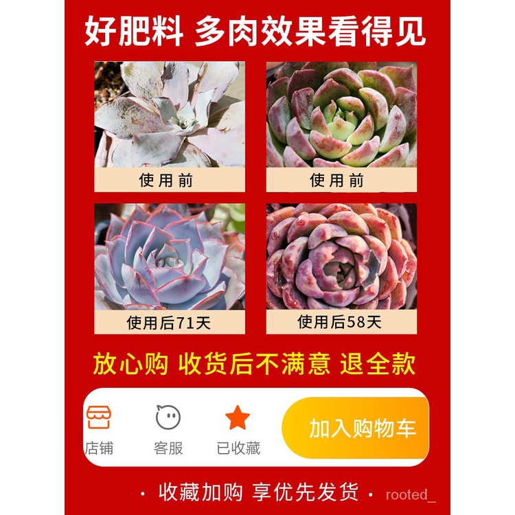 Nutrient Solution Dedicated多肉肥料专用缓释肥通用型营养土花肥料嘟嘟营养液盆栽颗粒复合肥 Shopee Malaysia