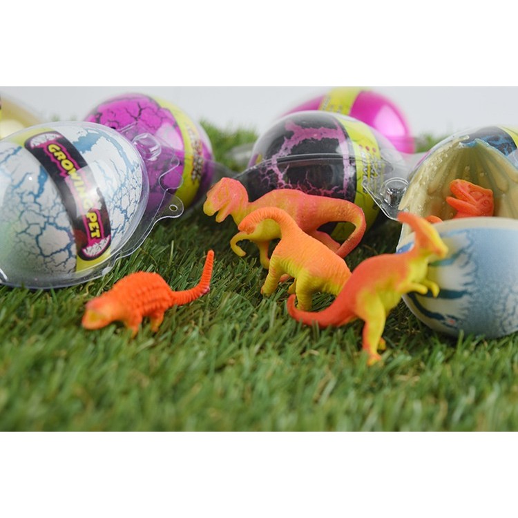 hatching dinosaur egg growing pet toy