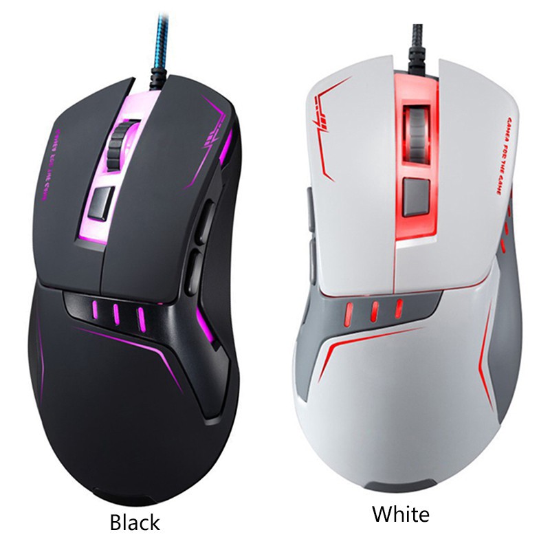 computer mouse description