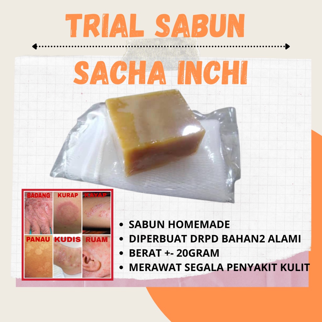 Inchi sabun sacha Sacha Inchi