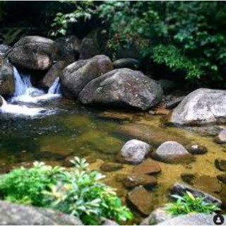 batu sungai batu tungku/batu sungai original 100%  Shopee Malaysia