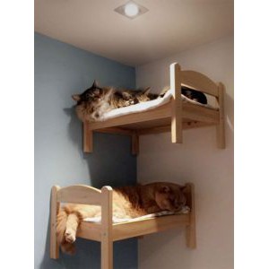 duktig cat bed