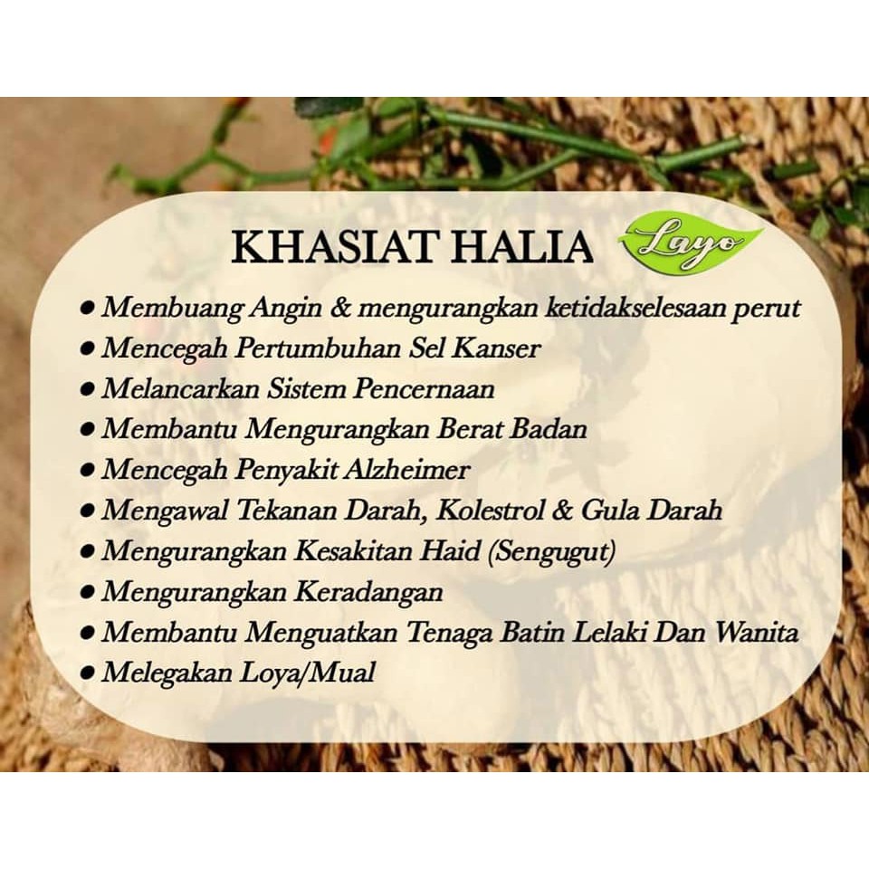 Minuman Halia Original Halia Pandan Halia Kunyit Dan Halia Serai Shopee Malaysia