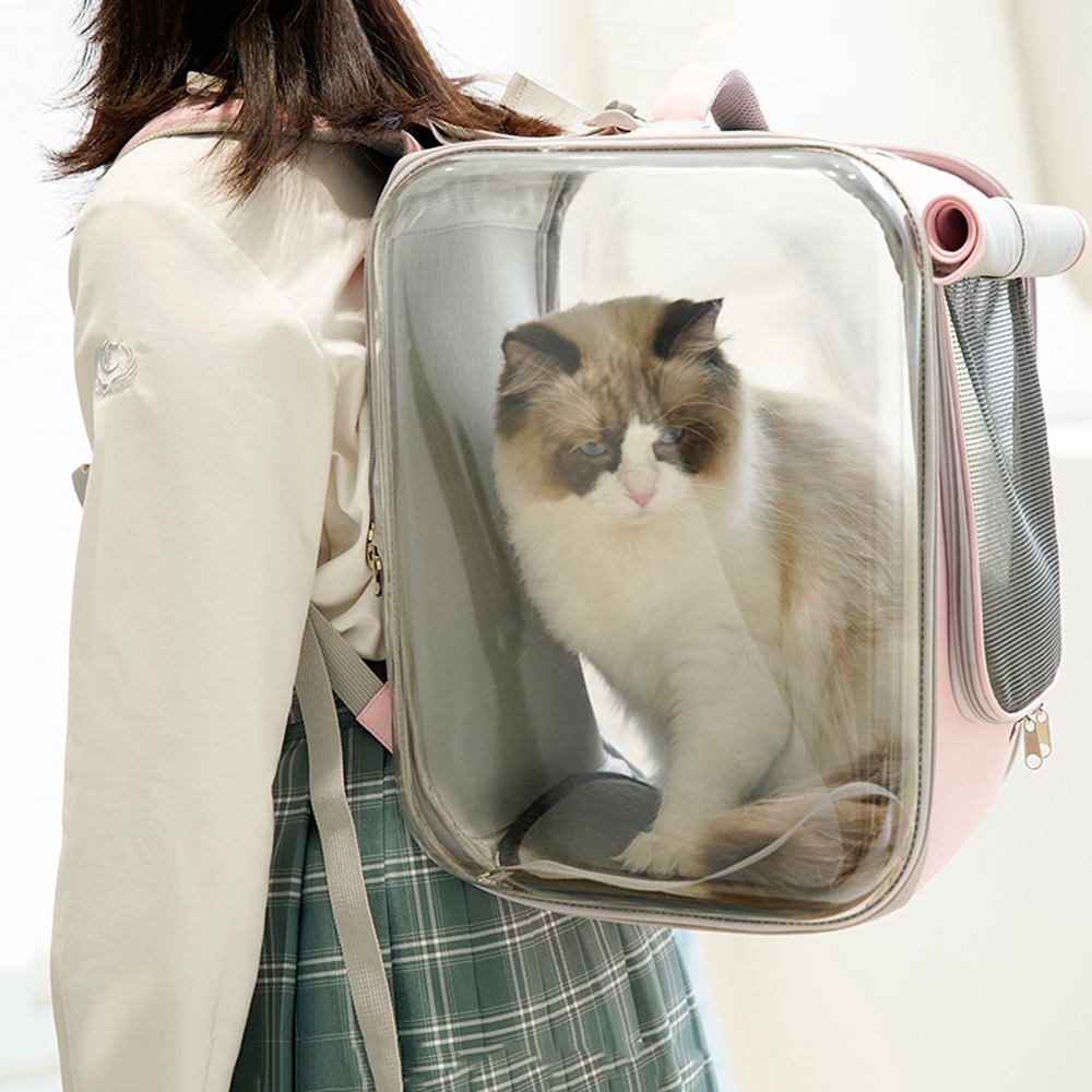 portable cat backpack