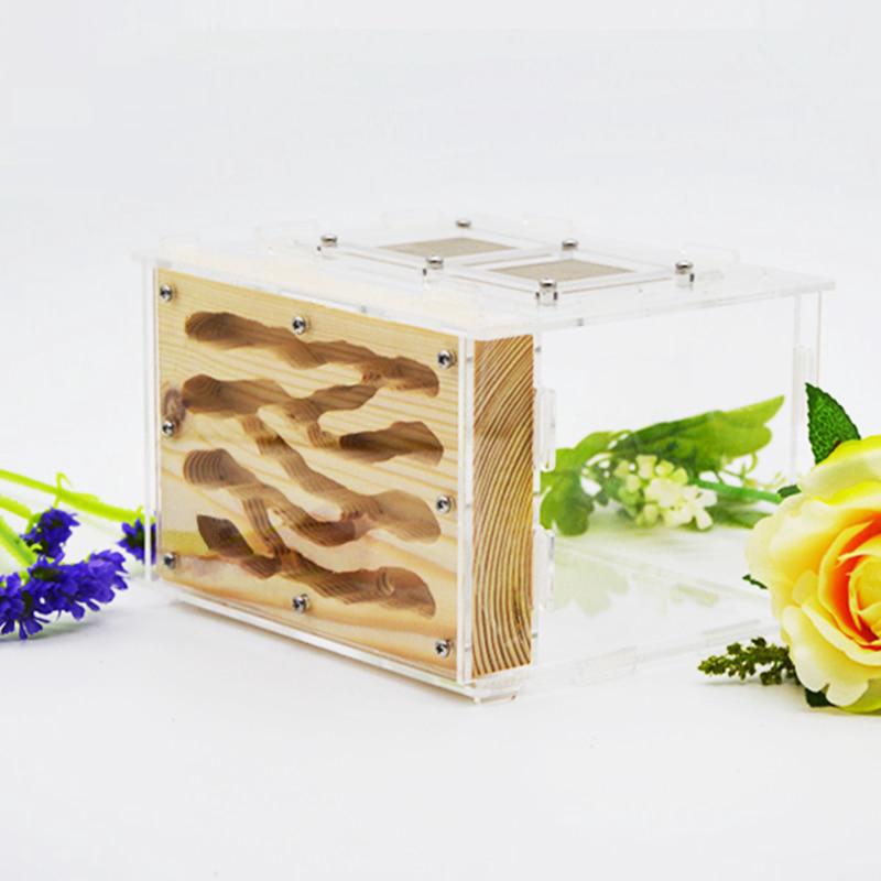 2019 New DIY Wooden Ant Farm Ecological Acrylic Ant Nest15x14x10cm with