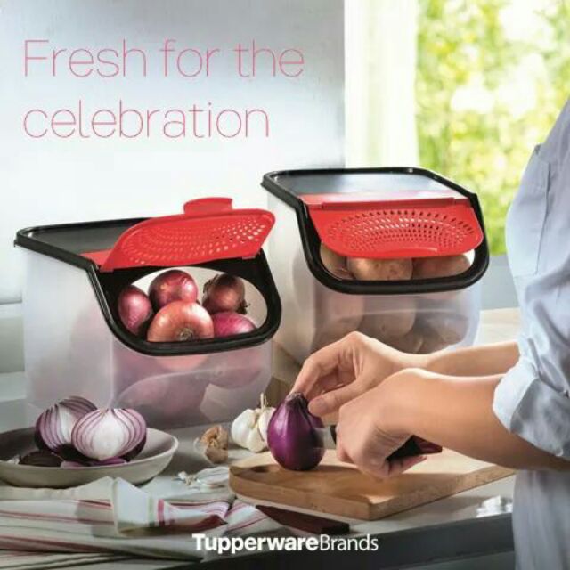 READY STOCK📣Bekas Bawang Tupperware 3L (Garlic Set) of 1 or 2 pcs 