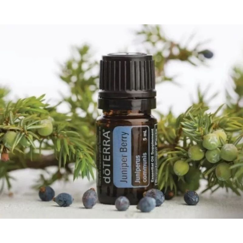Juniper Berry essential oil 杜松浆果 Has a calming, grounding effect 帮助缓解紧张