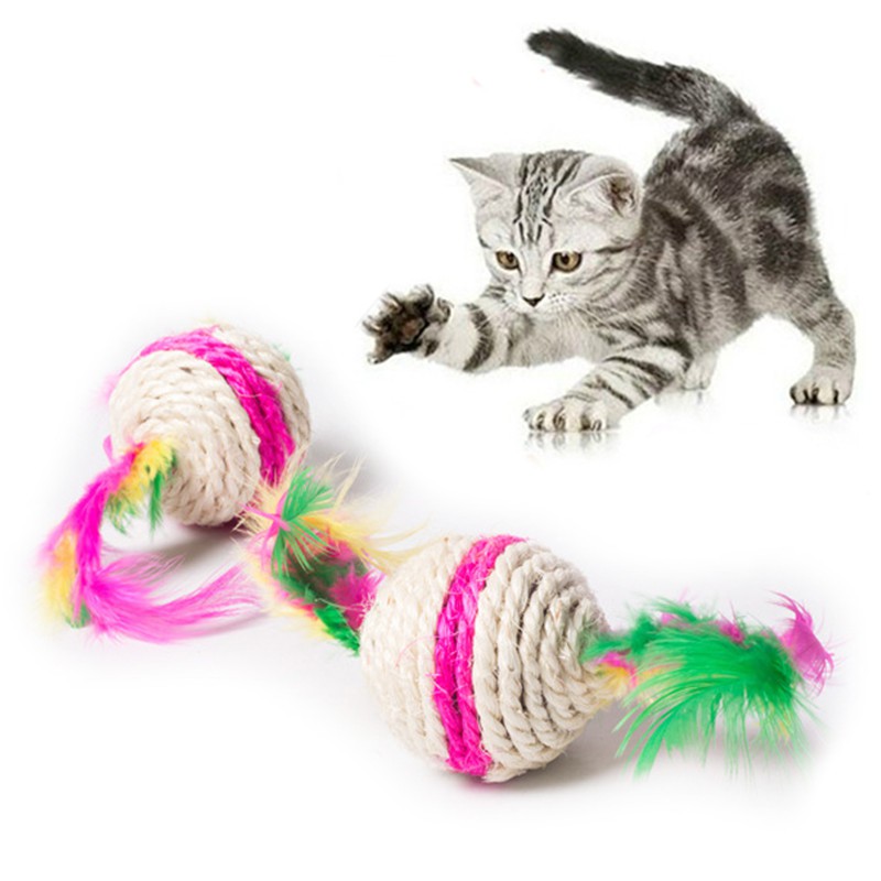 rattle cat toys