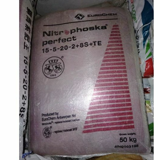 BAJA BUAH Singa Kuda Nitrophoska PERFECT NPK 15-5-20-2-8S-Te [ 1Kg ...