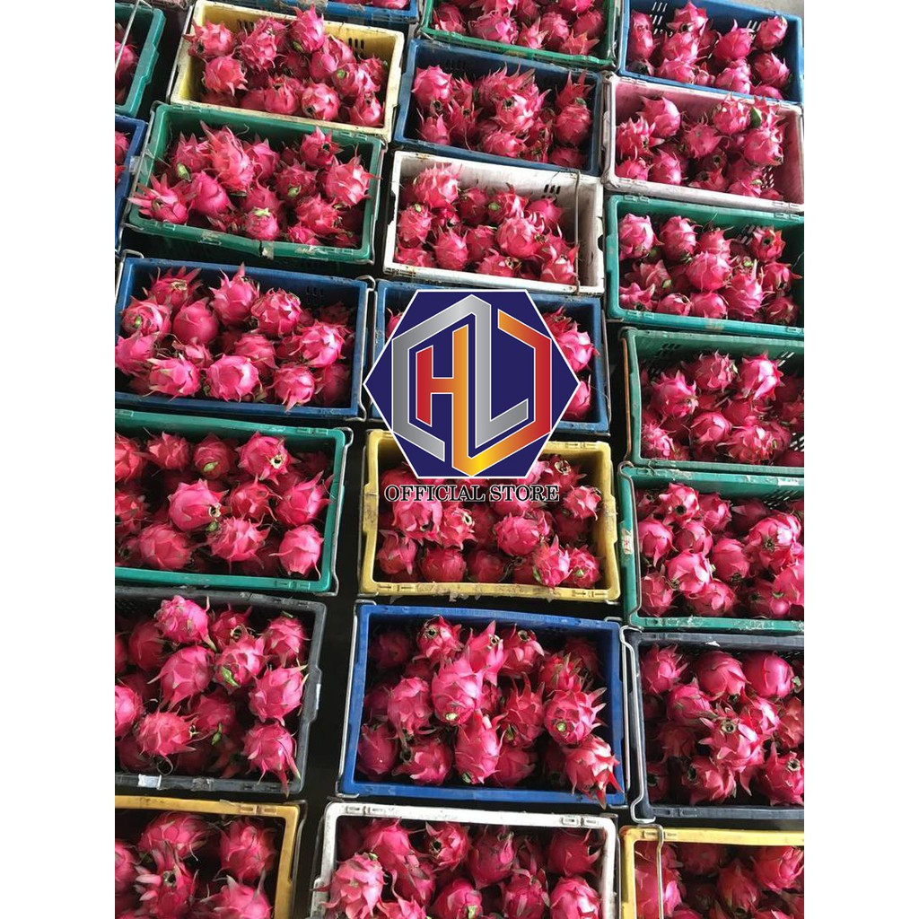 Pre Order Sugar Red Dragon Fruit Direct From Farm - 300g 400g 500g 600g++ 火龙果/大红蜜/BUAH NAGA MERAH