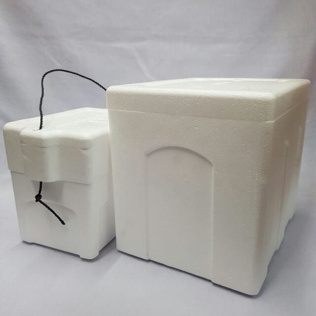 ice box polystyrene