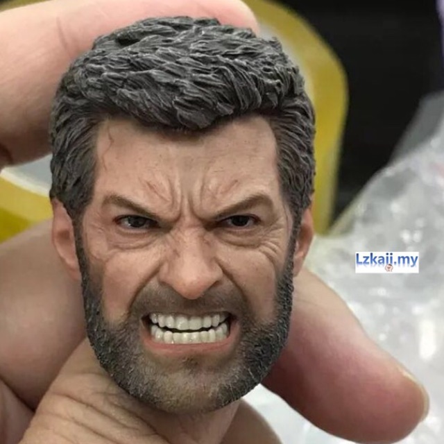 1/6 AF × Wolverine - Logan Head Sculpt Hugh Jackman X-Men 1：6 Action Figure / Toy / Gift