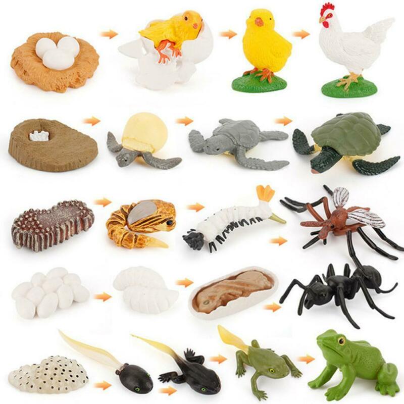Toy Growth Cycle Life Cycle Model Set Frog Ant Mosquito Sea Turtle Figures Gifts 