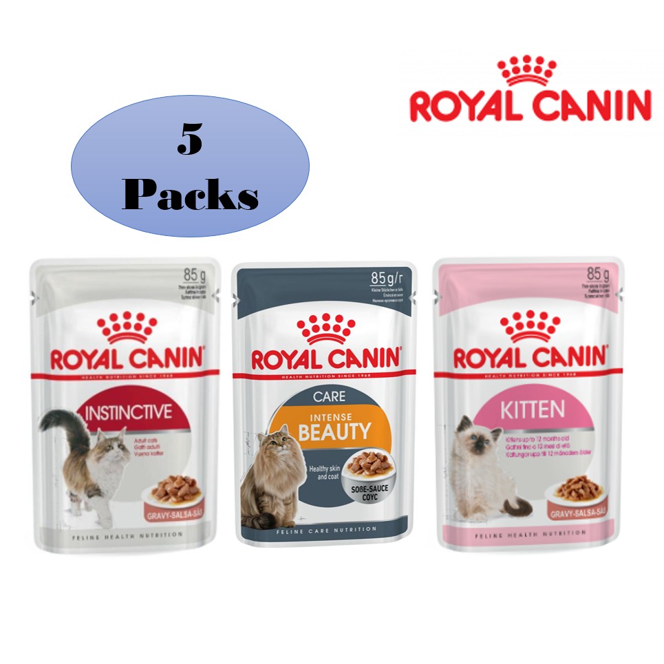 royal canin wet food