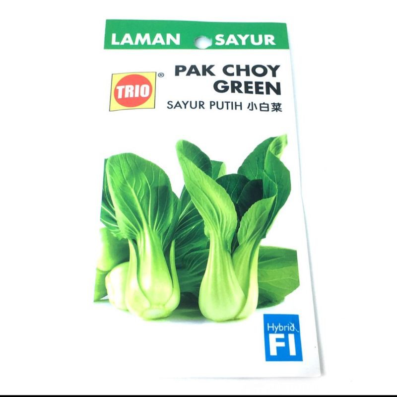 Biji Benih Sayur Putih Pak Choy Seeds Biji Sayur Putih Benih