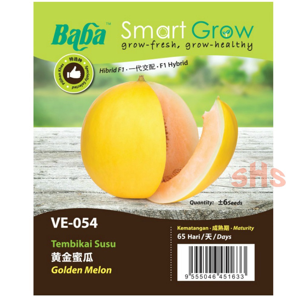 Baba Golden Melon Or Melon Gorgeous Seeds Non Gmo Benih Tembikai Susu Atau Jepun Berjaring Ve 044 Or Ve 054 Shs Kebun Shopee Malaysia