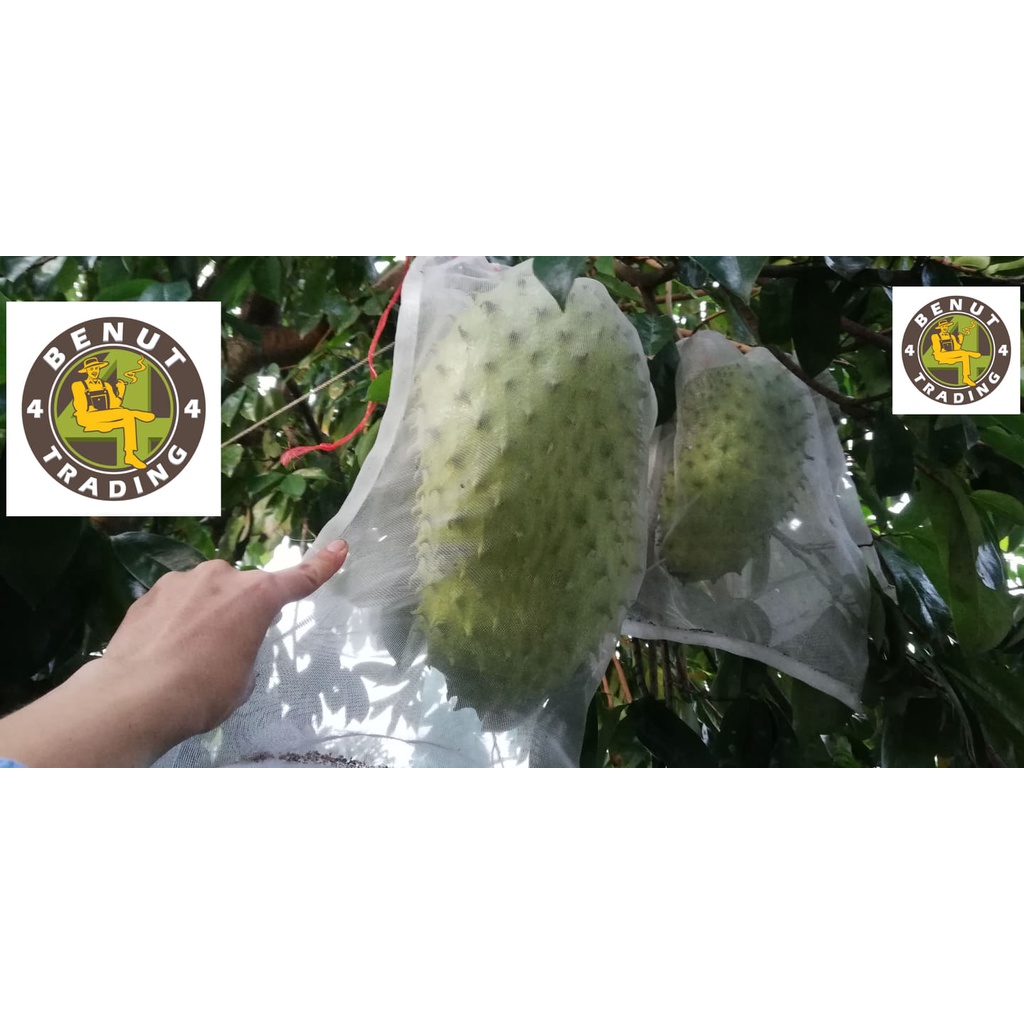 Fruit Protect Net Bag Garden Plant Mesh Anti Insect Fly Bird Monkey Squirrel Kebun Beg Buah
