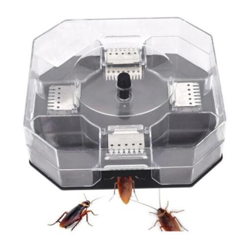 (READY STOCK) Reusable Cockroach Trap Insert Killer Catcher Non-toxic ...