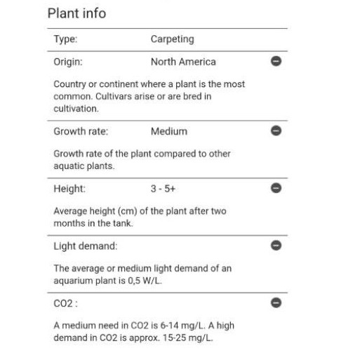 Official Dealer Tropica 1 2 Grow Hemianthus Callitrichoides 048b Tc Shopee Malaysia
