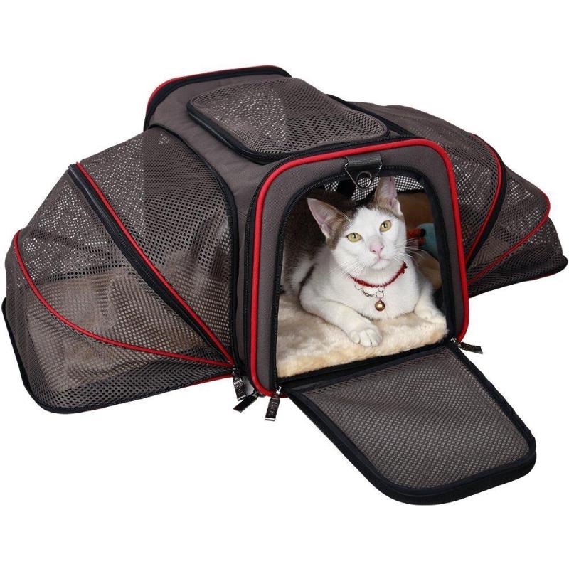 pet carrier shopee