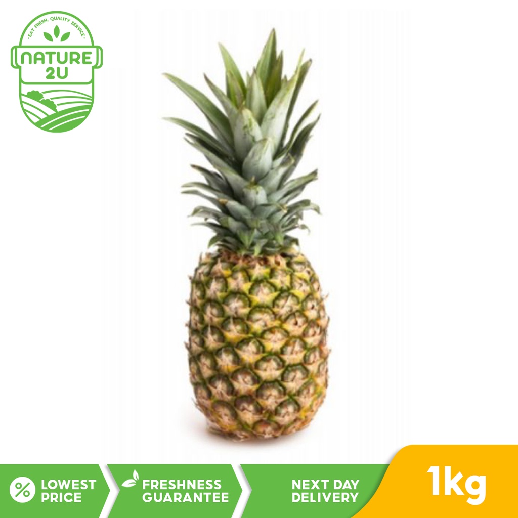 Nature2U Fresh Fruit - Big Pineapple / Nenas Besar / 凤梨 (1kg+- )