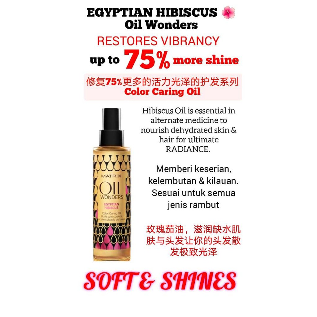 LOREAL MATRIX BIOLAGE OIL WONDERS EGYPTIAN HIBISCUS COLOR CARE OIL 125ML |  Shopee Malaysia
