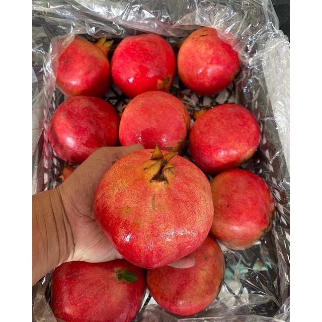 BUAH DELIMA FRESH EGYPT MURAH