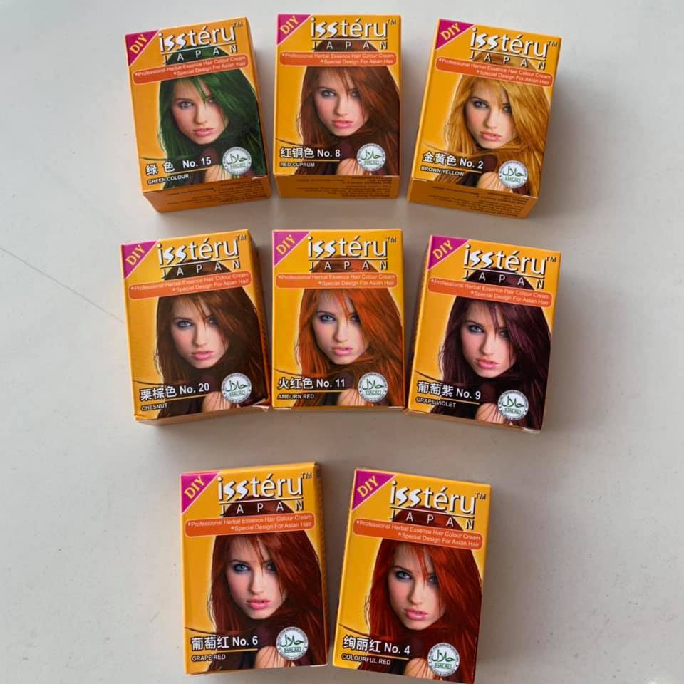  PEWARNA  RAMBUT  ISSTERU  JAPAN HAIR DYE COLOUR 25ML 100 