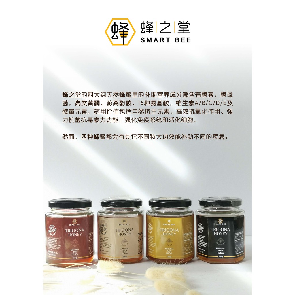 蜂之堂银蜂蜂蜜smart Bee Trigona Honey 200g Shopee Malaysia