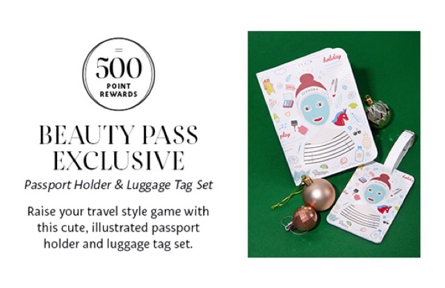 cute passport holder and luggage tag set