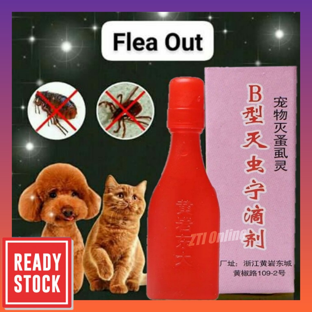 Ubat Kutu Kucing Anjing Cat Dog Flea Out  Shopee Malaysia