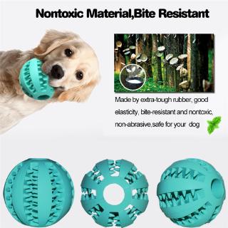 rubber ball dog toy