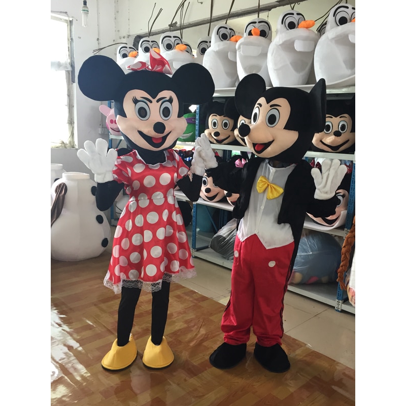mickey and minnie fancy dress