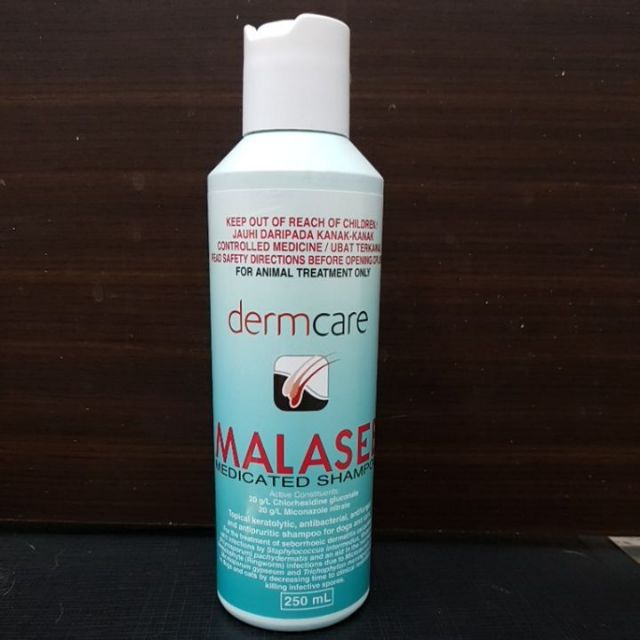dermcare malaseb shampoo