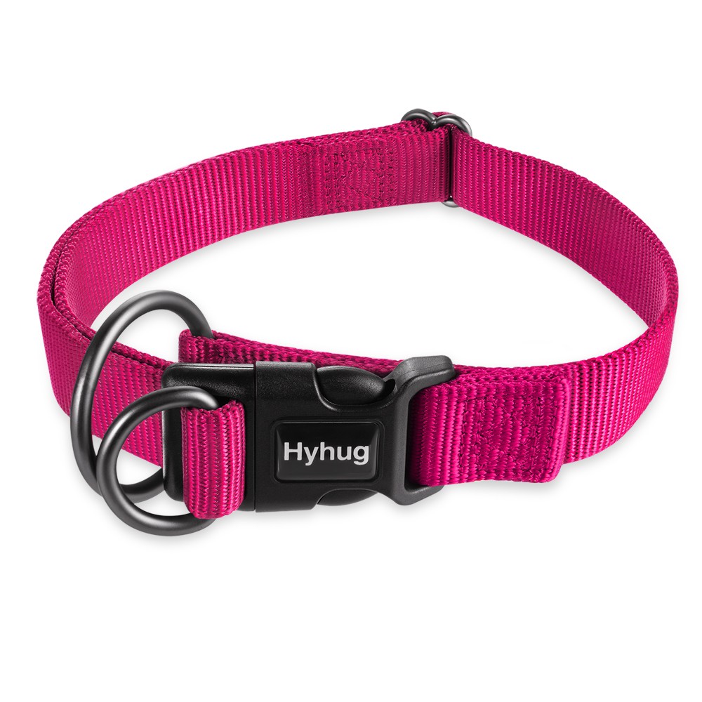 dog collars for girl dogs